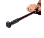 TELESCOPIC CANE