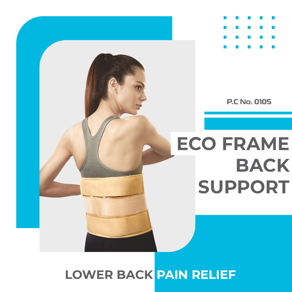 ECO FRAME BACK SUPPORT