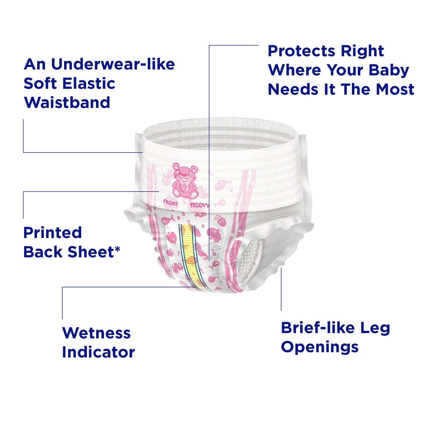 TEDDYY BABY PANTS PREMIUM 42's X 8 C