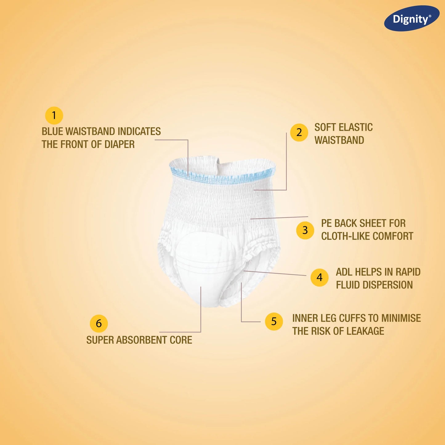 Dignity Overnight Pull Up Adult Diapers (10 Pcs/Pack)