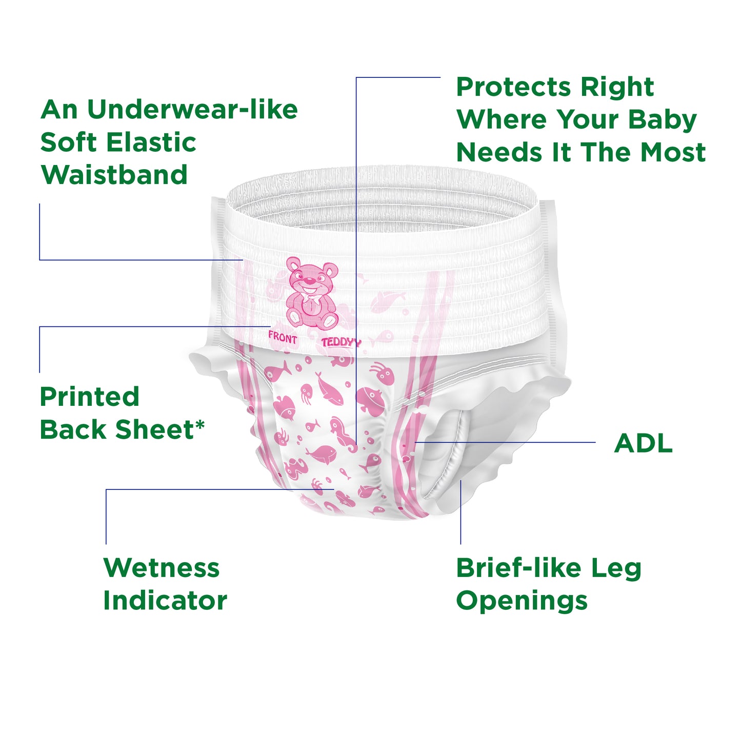 TEDDYY BABY PANTS EASY 78's × 4 C