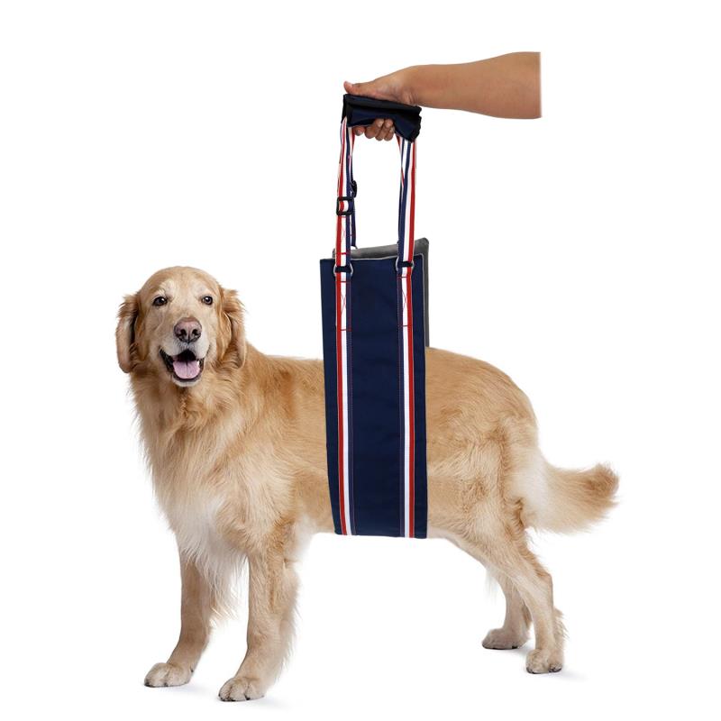 KosmoCare Dog Sling Support and Rehab Harness for Weak Rear Legs