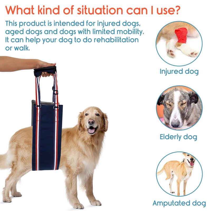 KosmoCare Dog Sling Support and Rehab Harness for Weak Rear Legs