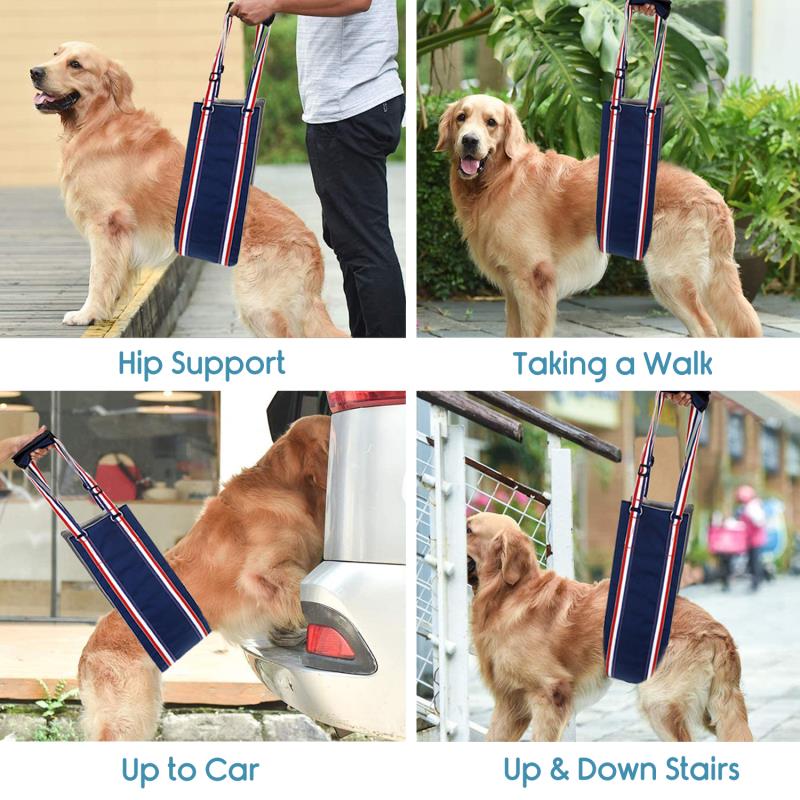KosmoCare Dog Sling Support and Rehab Harness for Weak Rear Legs