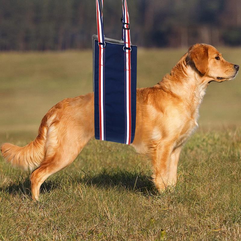 KosmoCare Dog Sling Support and Rehab Harness for Weak Rear Legs