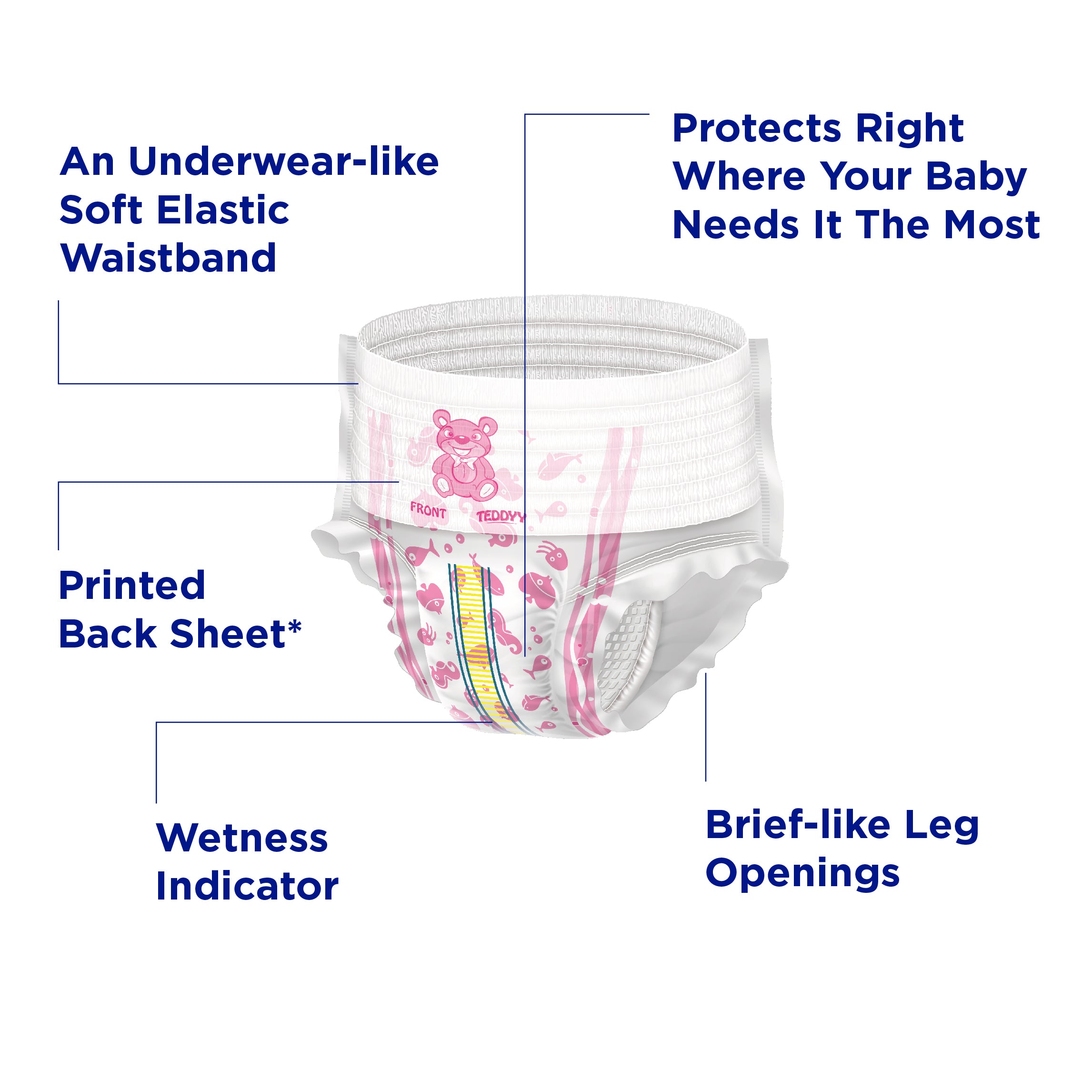 TEDDYY BABY PANTS PREMIUM 58's X 6 C