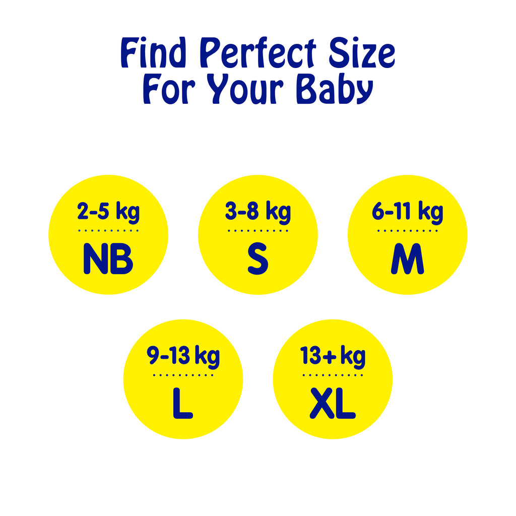 TEDDYY BABY PANTS PREMIUM 58's X 6 C