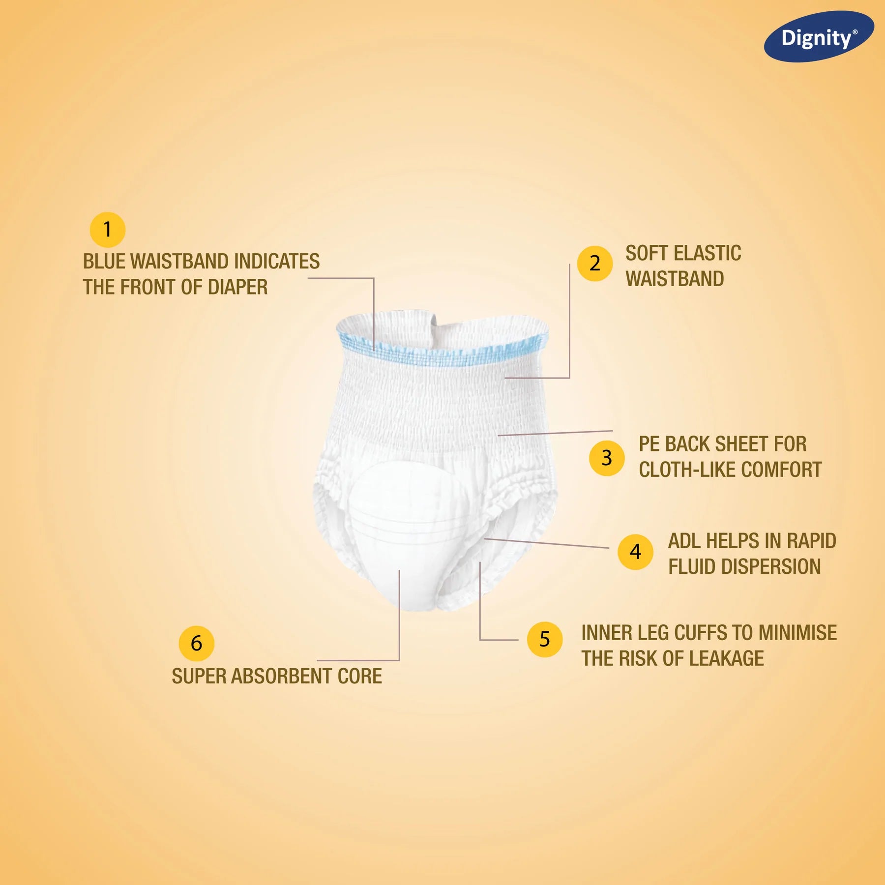 Dignity Overnight Pull Up Adult Diapers (10 Pcs/Pack)