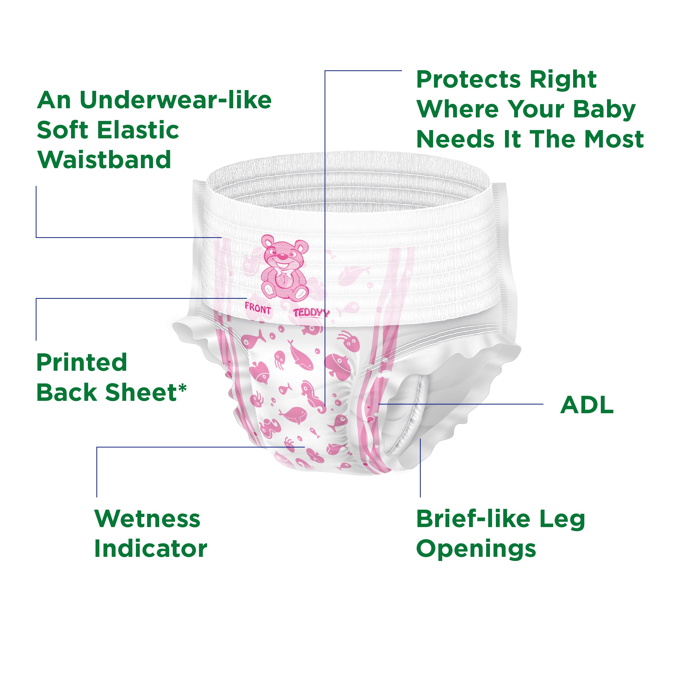 TEDDYY BABY PANTS EASY 78's × 4 C